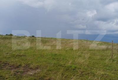 Teren de 1249 mp, în Copăceni - 1
