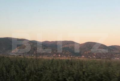 Casa batraneasca, 1500 mp teren, comuna Pomi - 2