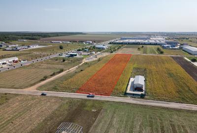 Teren Intravilan - Branesti - Investitie Pentru Hale Industriale - Vanzare - 3
