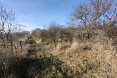 Teren de 15000 mp, în Central - 2