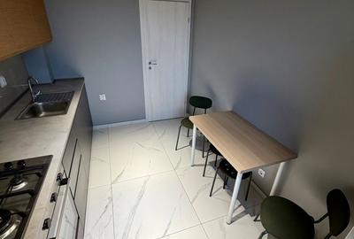 Apartament cu 2 camere decomandat, mobilat în Sud - 6