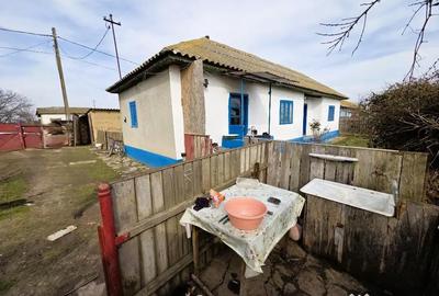 Casă cu 3 camere cu Teren 2029 Mp în Sabangia - 5