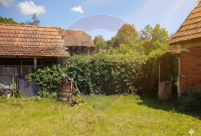 Casă Batraneasca cu 3 camere de vânzare - 2