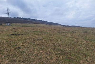 Spațiu comercial, în Sărădiș - 3