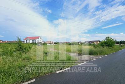 Teren Construcții intravilan de 5998 mp, în Cetate - 1