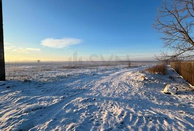 Teren agricol extravilan de 6000 mp, în Ionești - 2