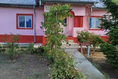 Casă cu Teren 3000 Mp în Bucșani - 13