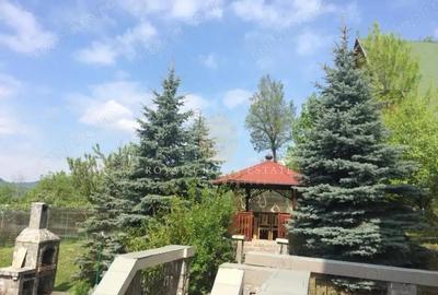 Casa de Vacanta cu piscina si sala fitness | Cornu de Jos - 6