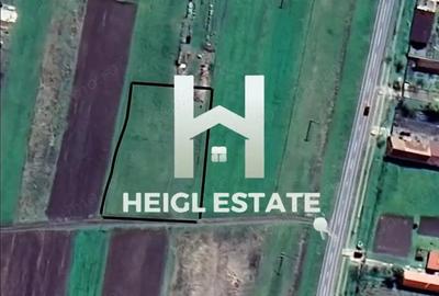 Teren de 1500 mp, în Pișchia - 3