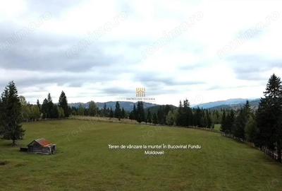 Teren 2804 mp, la munte! In Bucovina Fundu Moldovei! - 18
