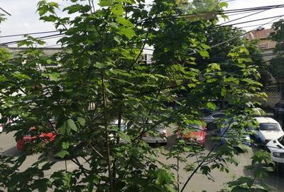 Inchiriere casa trei camere, zona Mosilor Armeneasca - 11