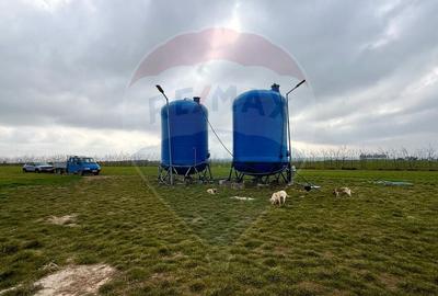 Teren agricol extravilan de 60000 mp, în Săcele - 3