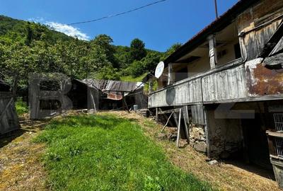 Casa la munte cu teren generos de 9340mp in zona Capalna - Valea Sebesului - 2