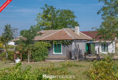 Casă individuală cu 4 camere cu Teren 2106 Mp în Potârnichea - 3