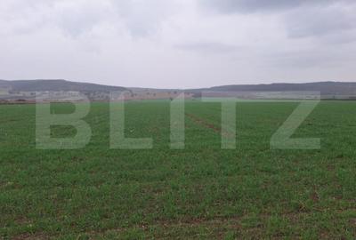 Teren de 10000 mp, în Central