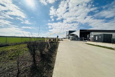 Teren agricol extravilan de 46400 mp, în Giroc - 3