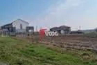 Teren de 756 mp, în Dumbrăvița - 5