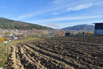 Teren cu suprafata de 3360 mp in Gura Humorului-Toaca-Boureni - 14