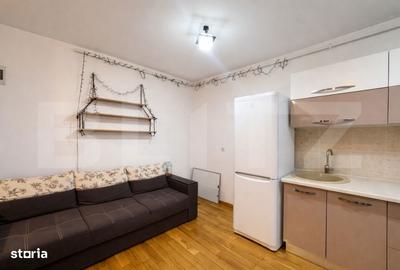 Apartament cu 2 camere în Europa - 8