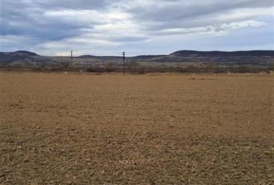 Teren 5000 mp langa E68 - 5