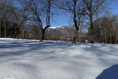 Spațiu comercial, în Bran - 12