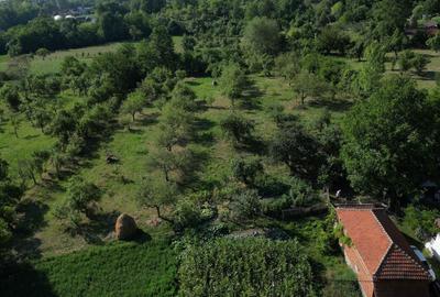 Casă cu 2 camere în Bârseștii de Sus - 5