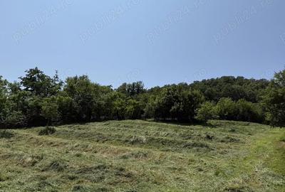 Teren de 2294 mp, în Joia Mare - 5