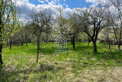 48 ari teren , cu casa batraneasca, Antoceni, Forasti, Sucea - 2