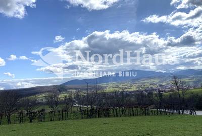 Teren agricol extravilan de 3494 mp, în Rășinari - 2