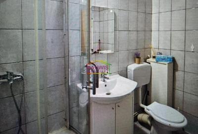 Apartament 2 Camere Bd Tineretului Palatul Copiilor PARC - 5