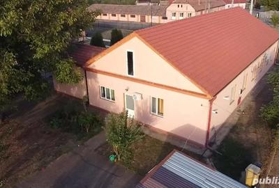 Casa de vanzare Peciu Nou - 4