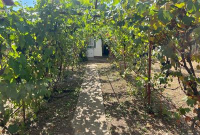 Casa de vânzare - 10