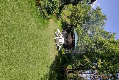 Casă cu Teren 11196 Mp în Central - 6