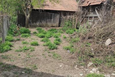 Casă cu 2 camere cu Teren 1100 Mp în Central - 1