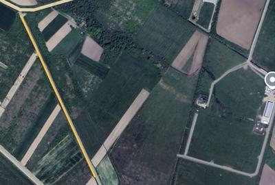 Teren de 8355 mp, în Saca