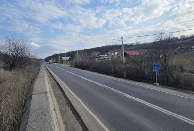 Teren de 5400 mp, în Miroslava - 6