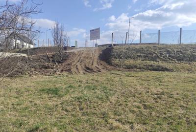 Spațiu comercial, în Central - 2