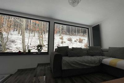 Spațiu comercial, de 800 mp, în Valea Crișului - 1