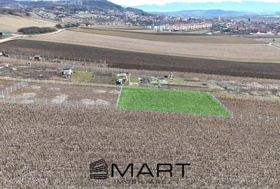 Teren agricol extravilan de 547 mp, în Gușterița - 1