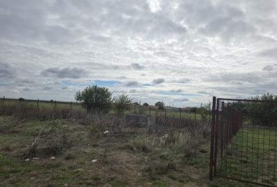 Amzacea- sat G. Scarisoreanu -Ferma zootehnica , 5,1 hectare - 7