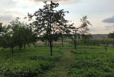 Casă cu 2 camere cu Teren 4384 Mp în Ilișua - 5