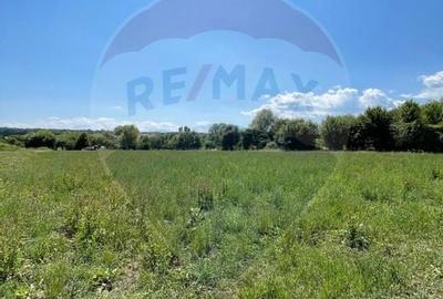 TEREN  INTRAVILAN 5,000mp ORAS CISNADIE  STR.  SELIMBARULUI - 17