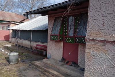 Casă cu 4 camere cu Teren 1200 Mp în Finta - 6