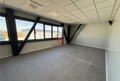 Depozit/hala/spatiu industrial Theodor Pallady - Drumul Int - 3