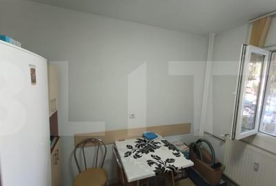 Apartament cu 2 camere semidecomandat în Teiul Doamnei