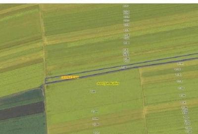 Teren extravilan cota parte 1/3 Cernatesti , ID: R2586146 Teren extravilan cota parte 1/3 Cernatesti , ID: R2586146 - 16
