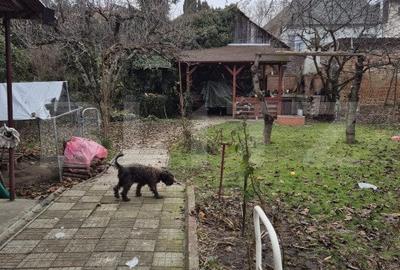 Casă cu 3 camere cu Canalizare în Central - 8