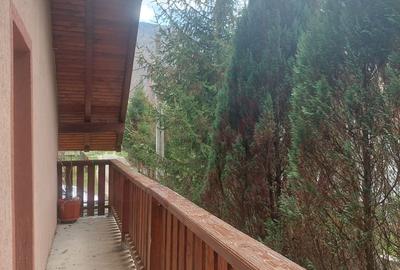 CASĂ DE VACANȚĂ 5 CAMERE,POINANA MĂRULUI, JUD.CARAȘ-SEVERIN - 20