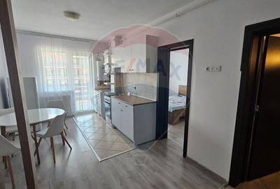 Studio modern de inchiriat in Subcetate