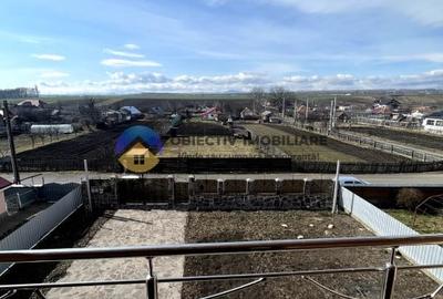 Vila  Girov - Caciulesti - 14